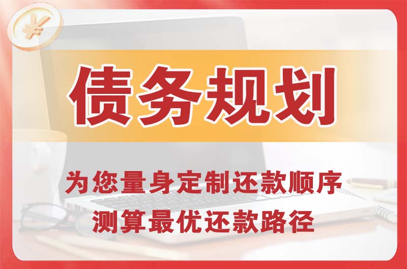 鲁甸债务规划